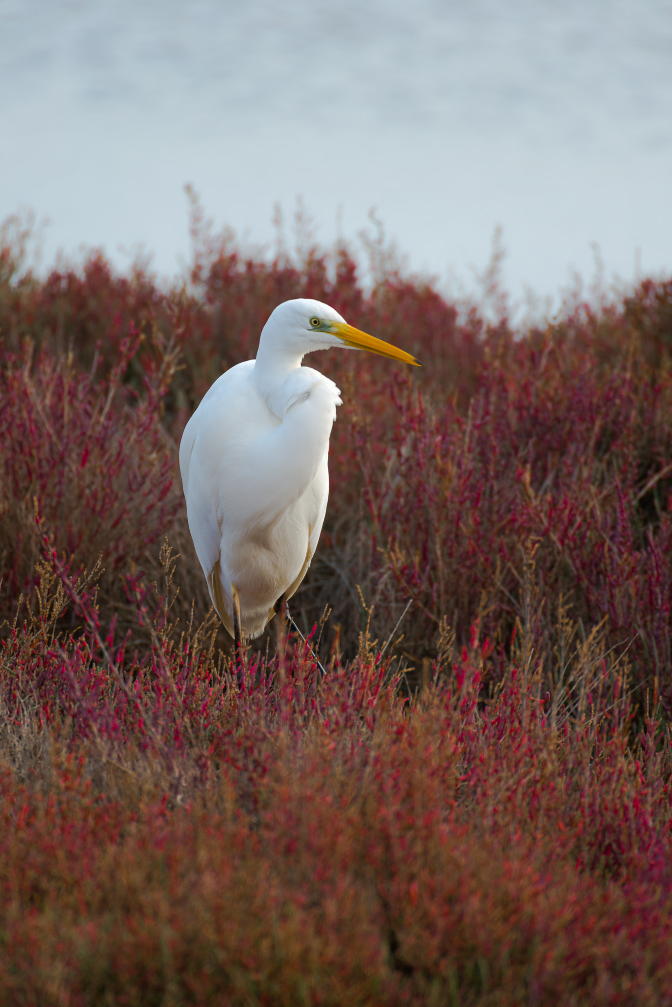 v2?sig=1ecfd3400dbe1c1350ff29dbba2bbb773bc42923baee4acef51863979b7f8810