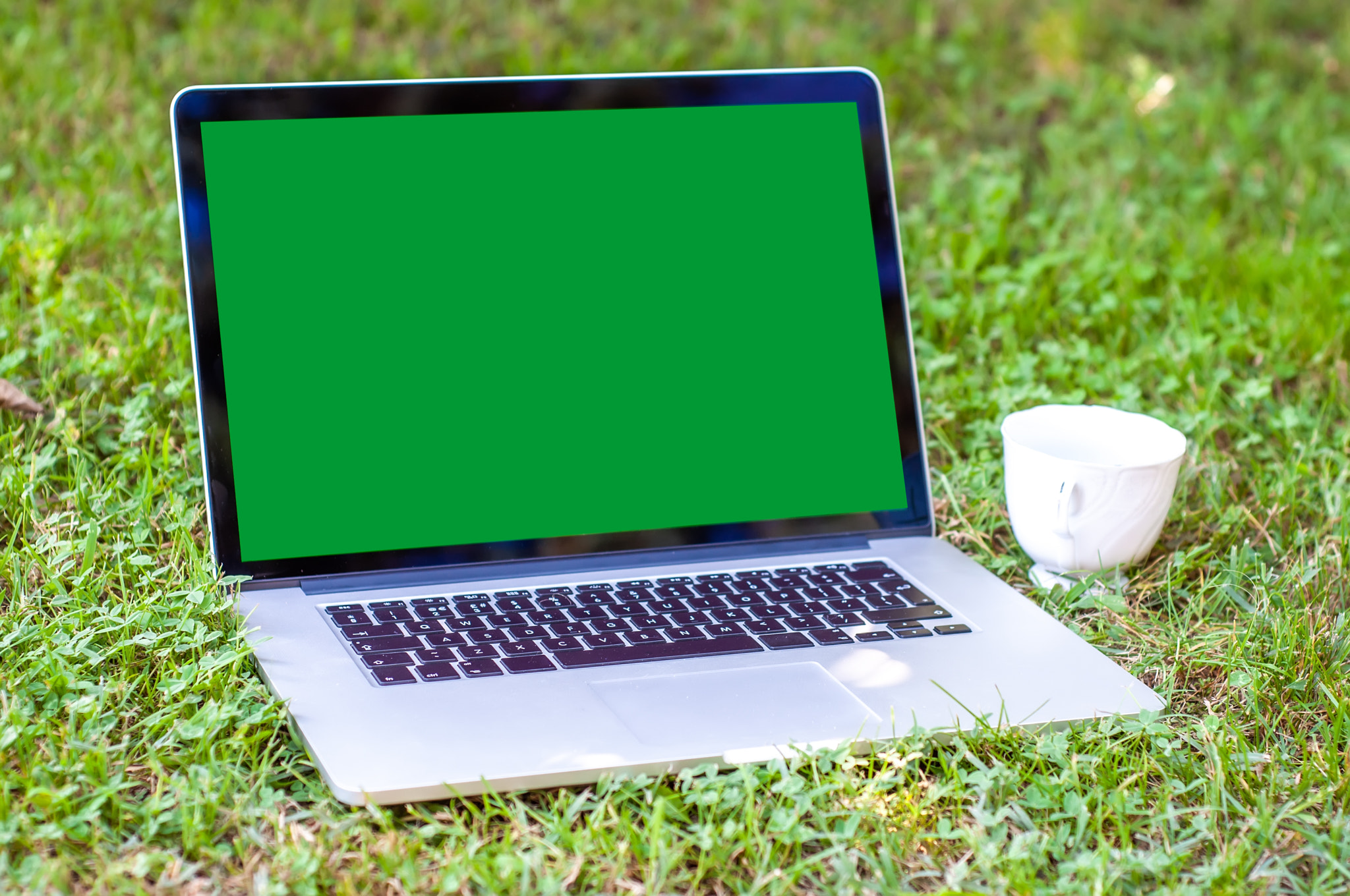 View on a laptop pc with a green screen and a mug on the grass