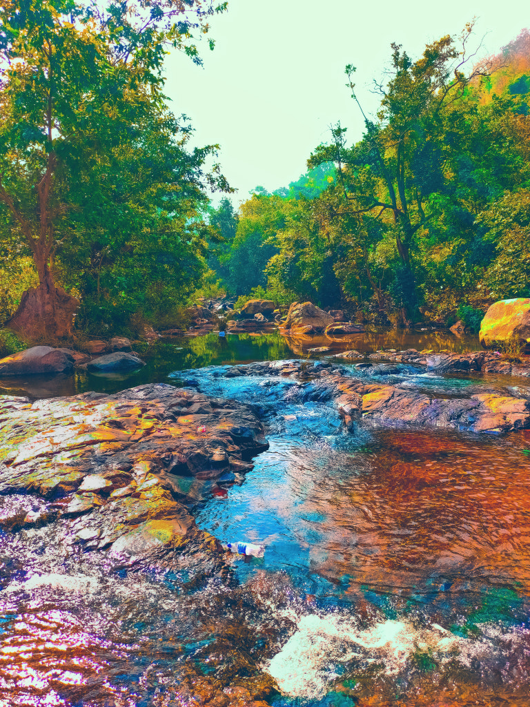 River flowing through the Jungle by Jayashankar Majhi on 500px.com