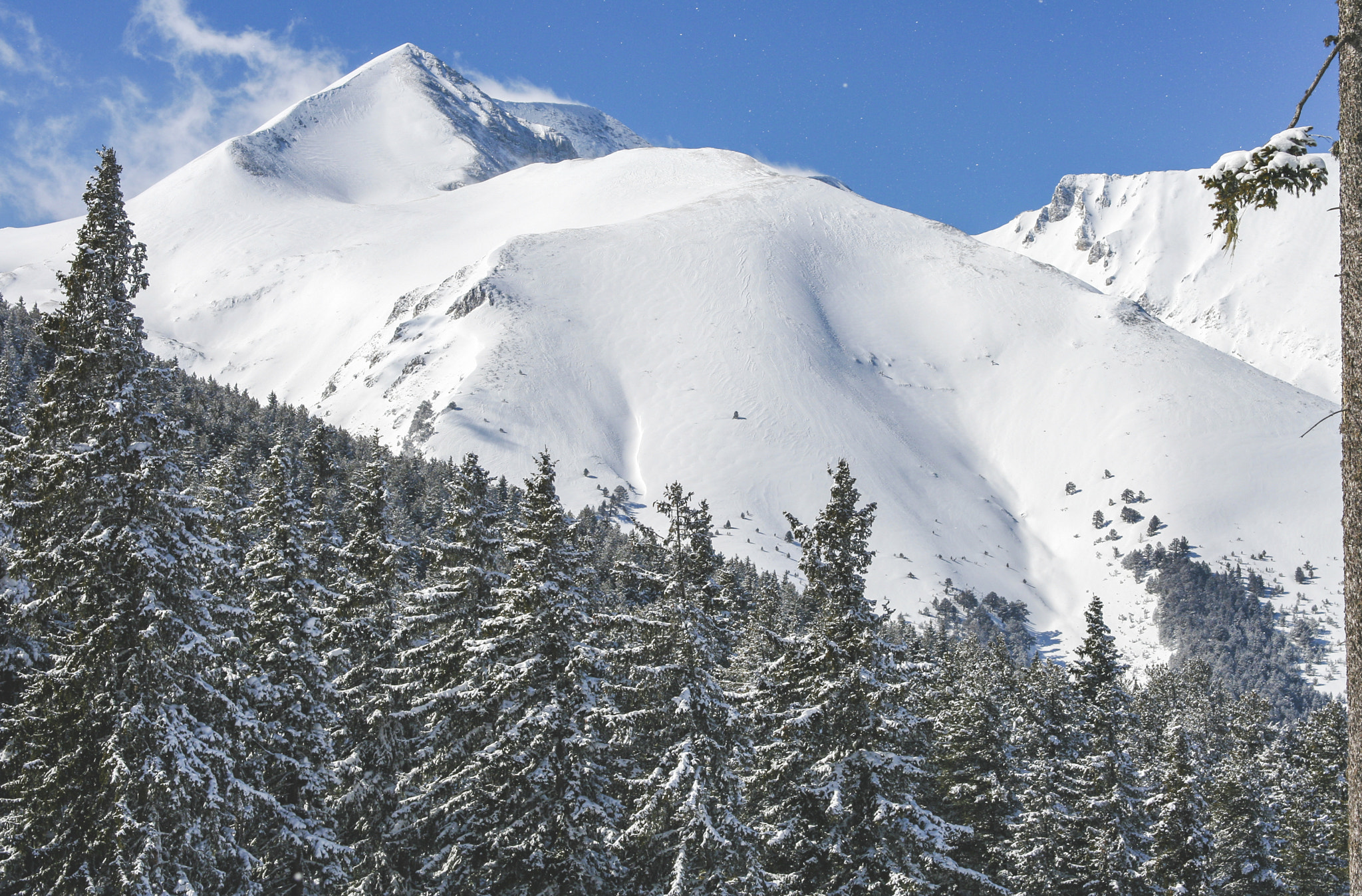 Winter mountain landscape