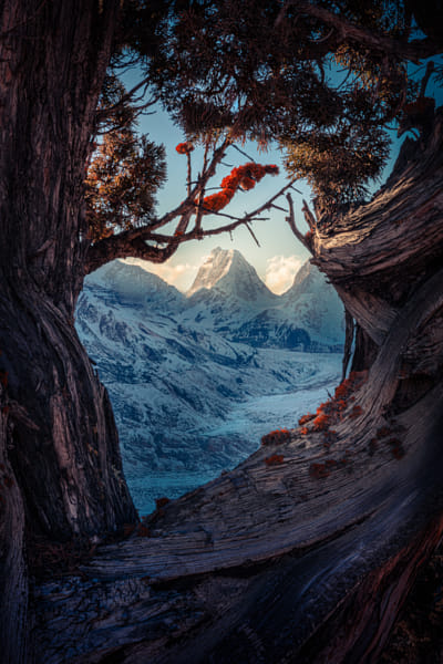 gongyada 6482 by Qiye 