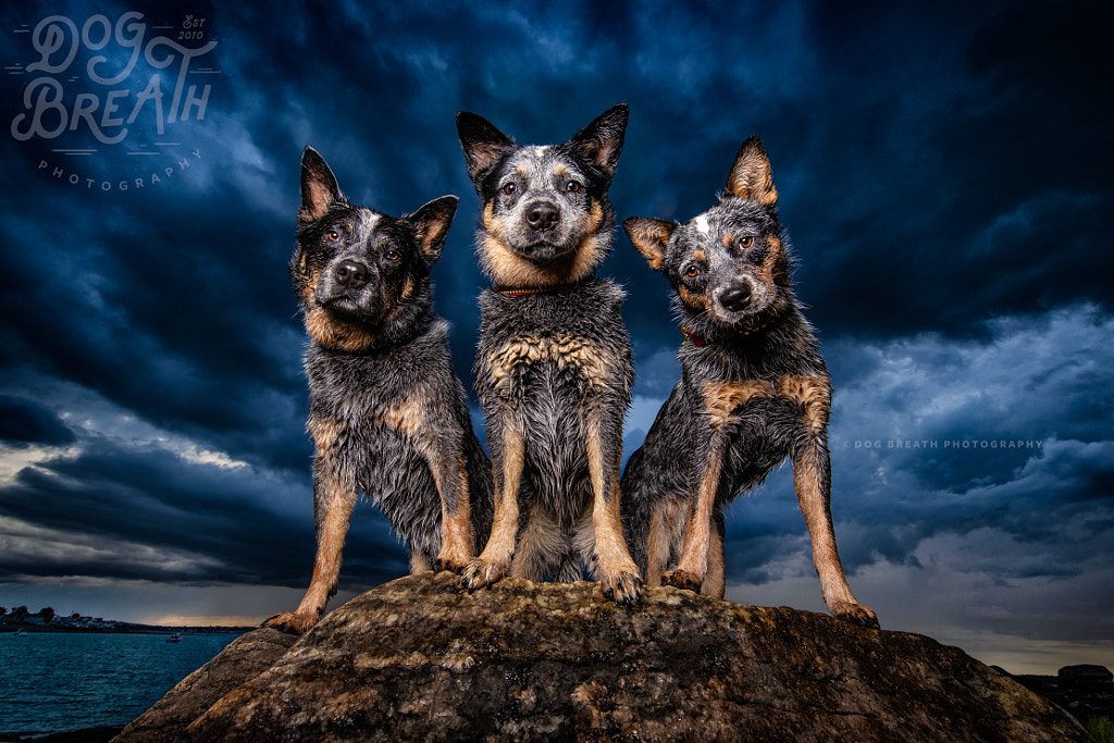 Stormy Skies by Kaylee Greer on 500px.com