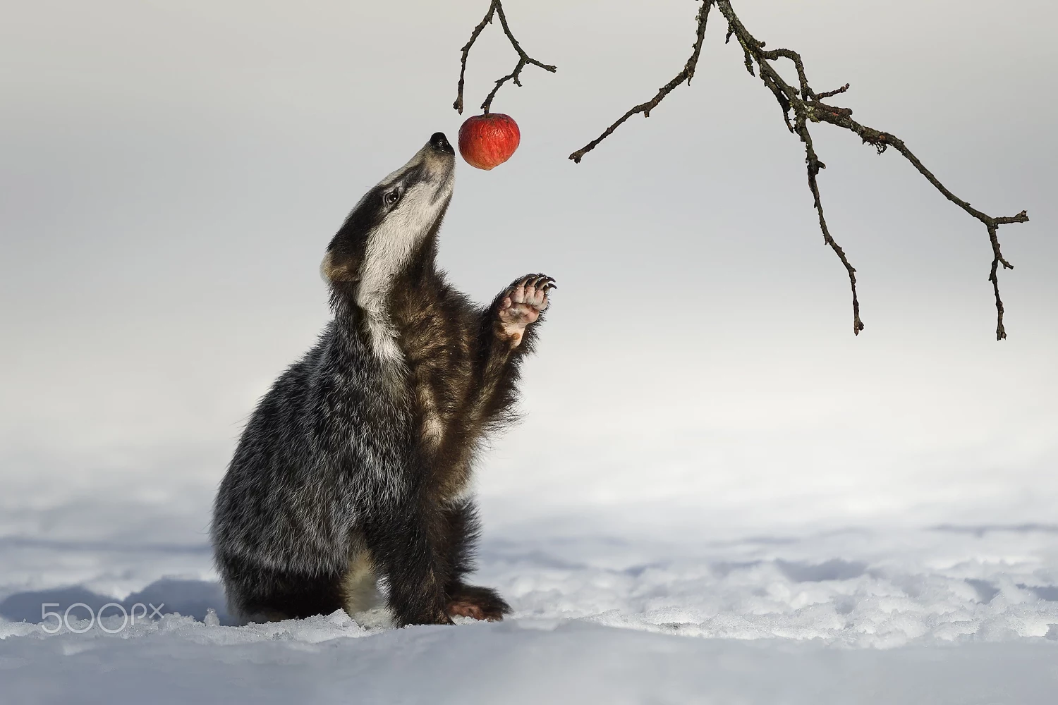 Andreas Bobanac Andreasbobanac Profile 500px