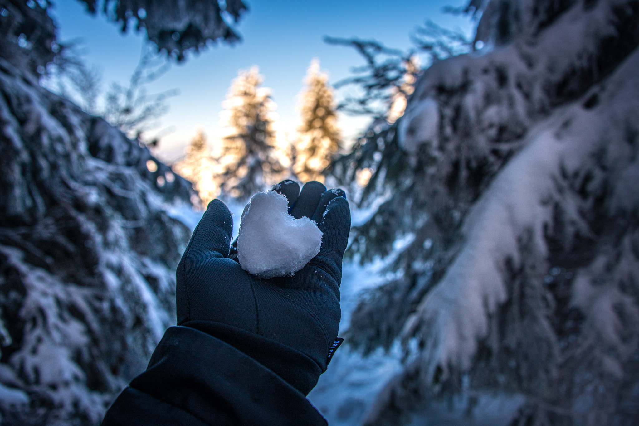 Winter Love