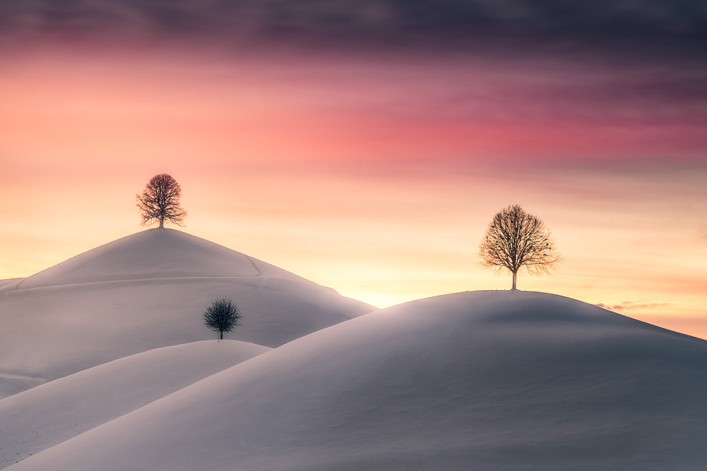 Rolling Hills Sunset by Senad Halimi on 500px.com