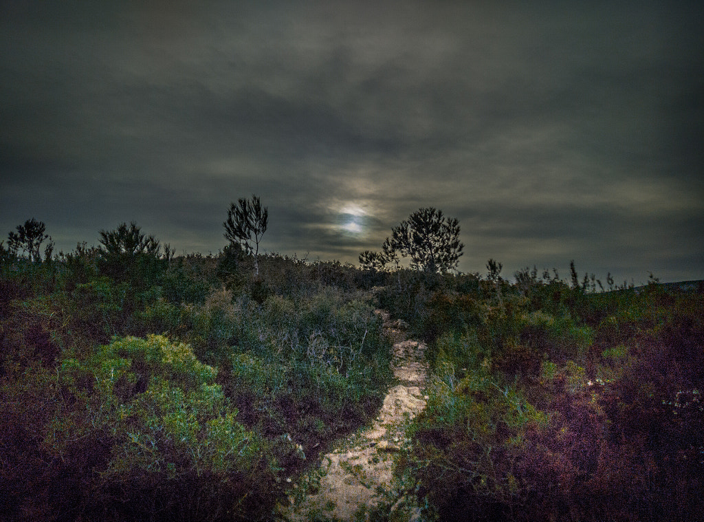 Path by Javier Pascual on 500px.com