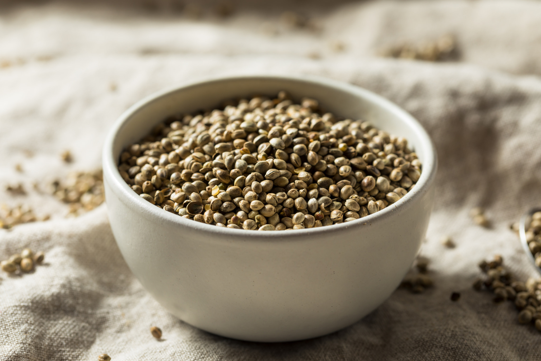 Organic Roasted Hemp Seeds