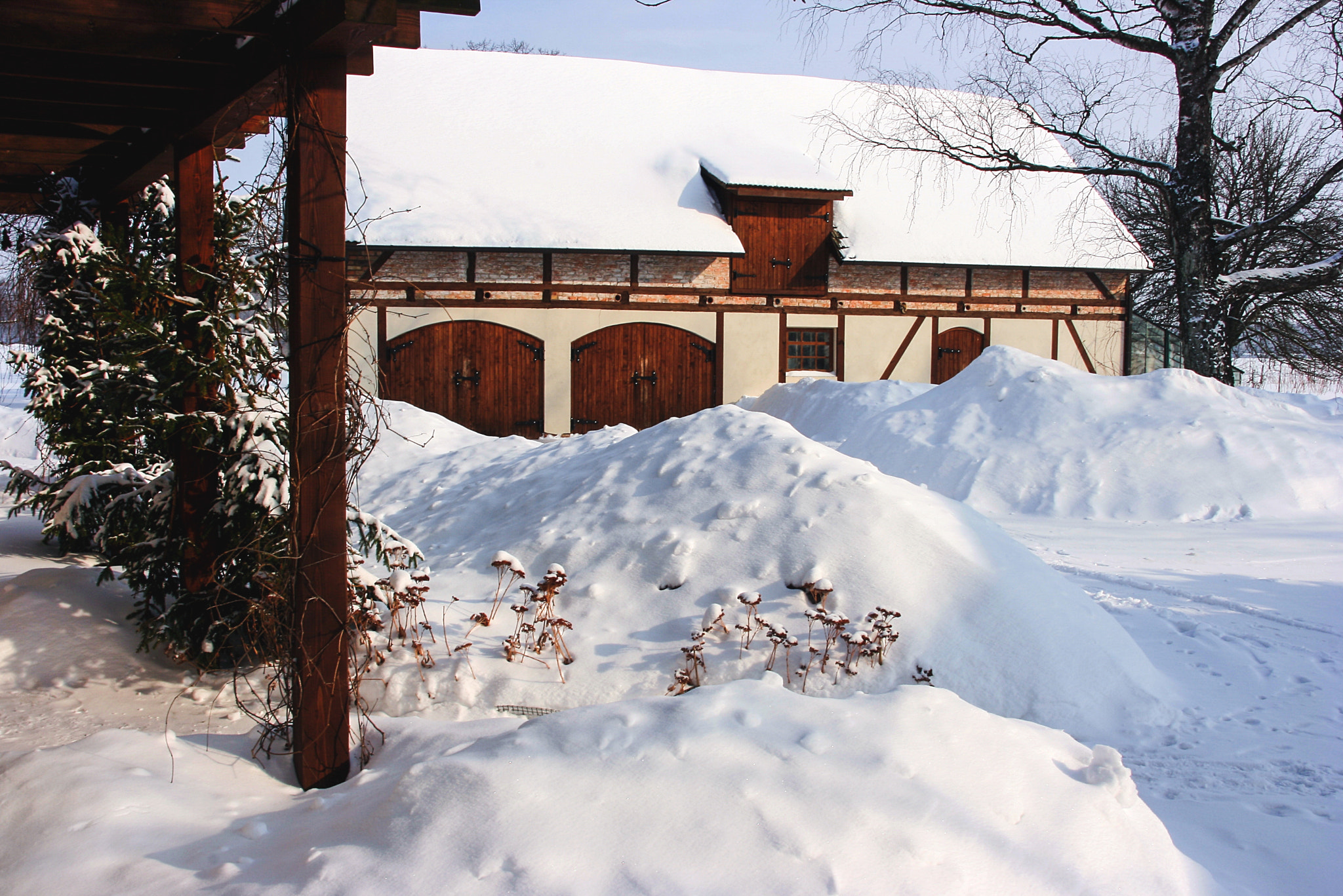 Yard in winter, full of snow
