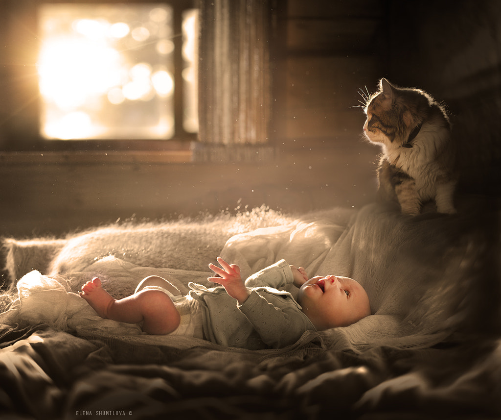 *** by Elena Shumilova on 500px.com