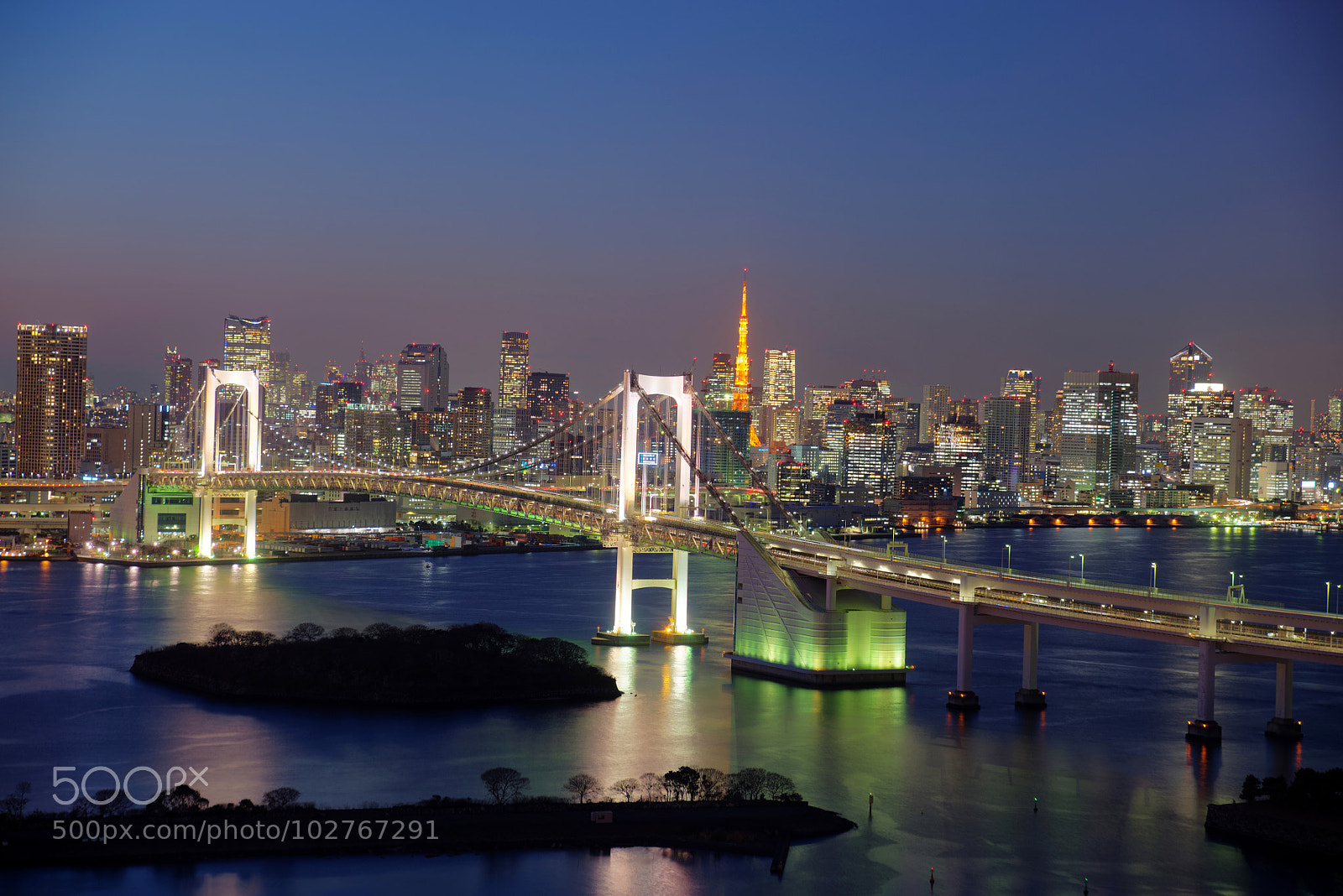 Nikon D610 sample photo. Tokyo skyline by night photography