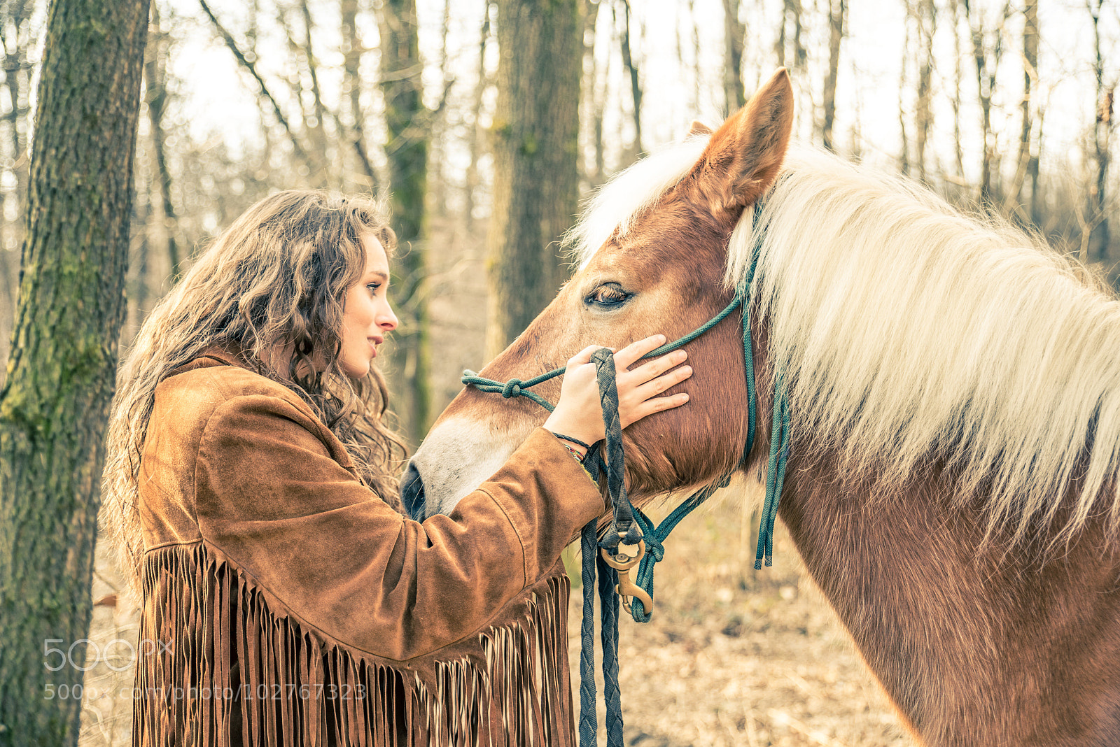 Nikon D610 sample photo. Woman stroking horse photography