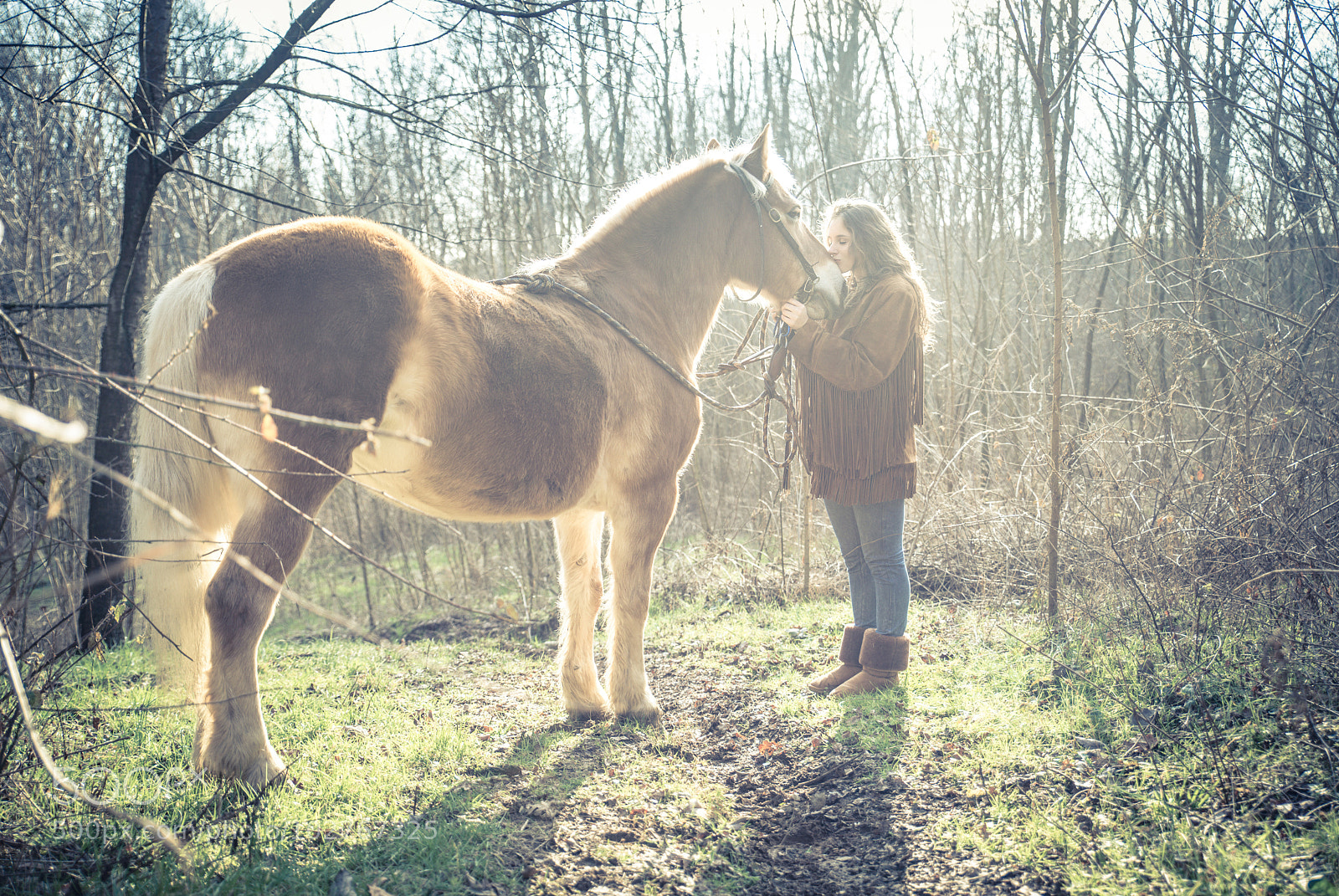 Nikon D610 sample photo. Woman stroking horse photography