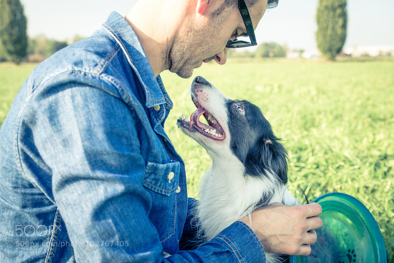 Nikon D610 sample photo. Cool dog playing with photography
