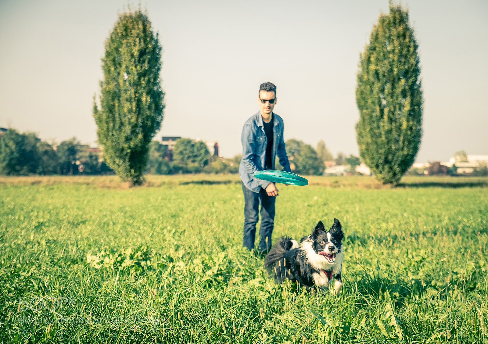 Nikon D610 sample photo. Cool dog playing with photography