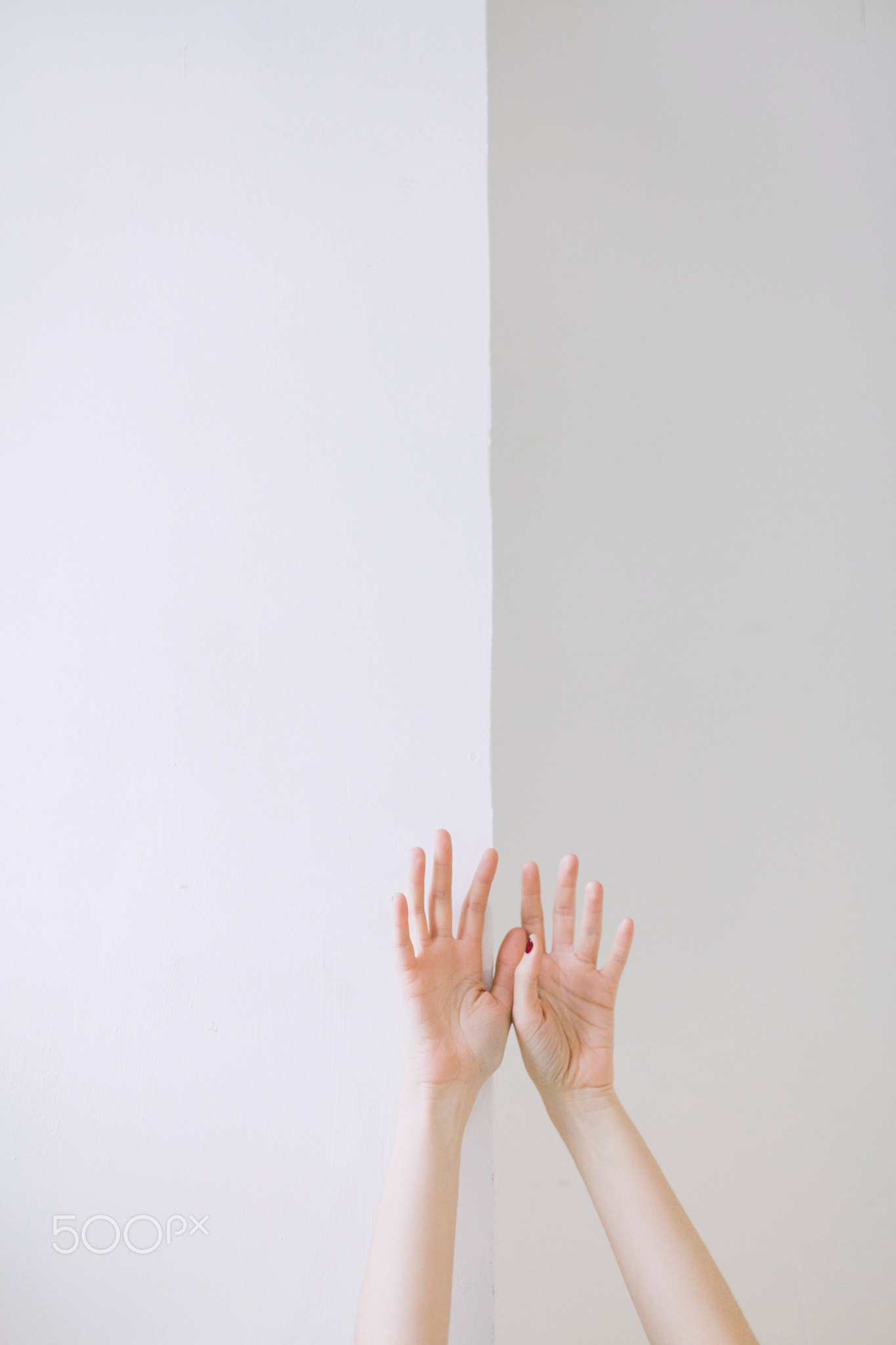 Hands \uD83E\uDD0D