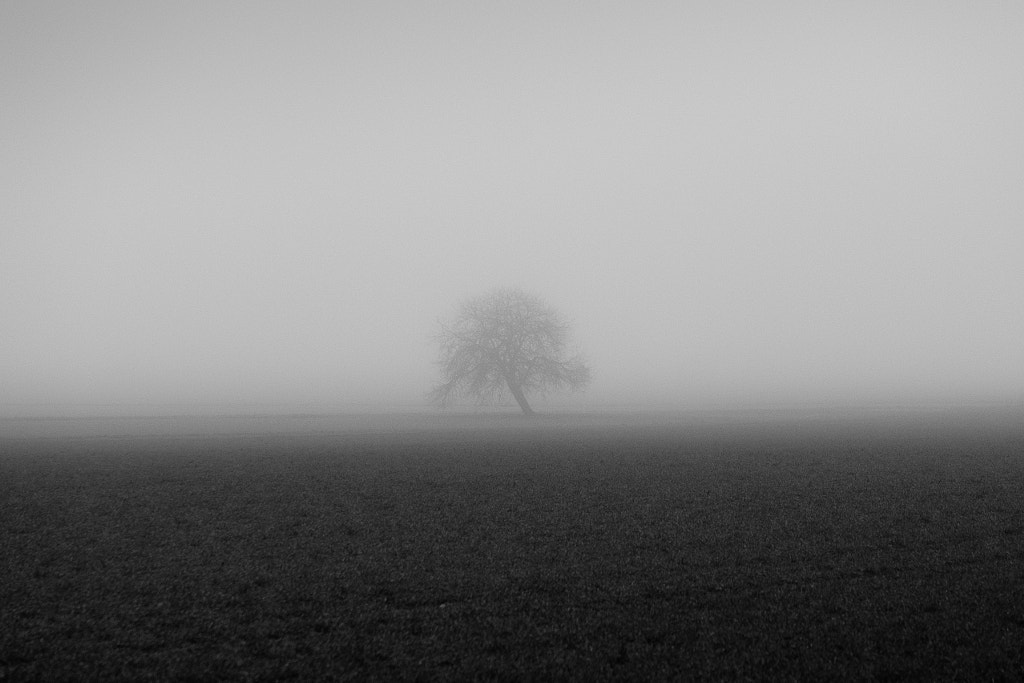 Fog by Morgan  Boudet on 500px.com