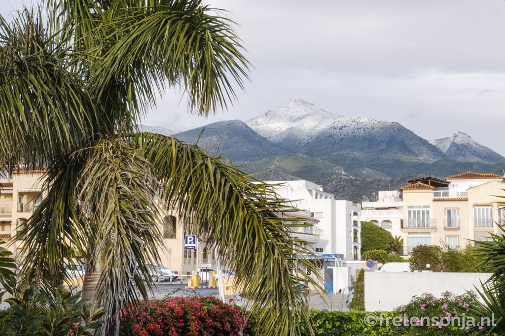 Untitled by www.fretensonja.nl on 500px.com