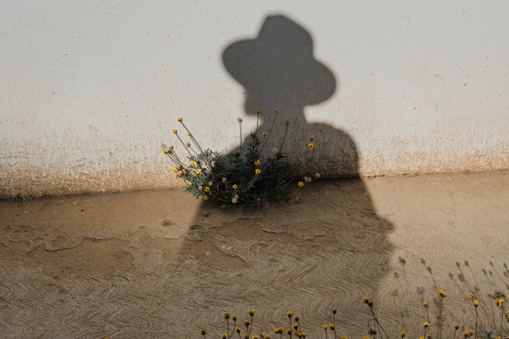 Shadow of a man sprouting flowers | @LostBoyMemoirs by Ryan Brown | @lostboymemoirs on 500px.com