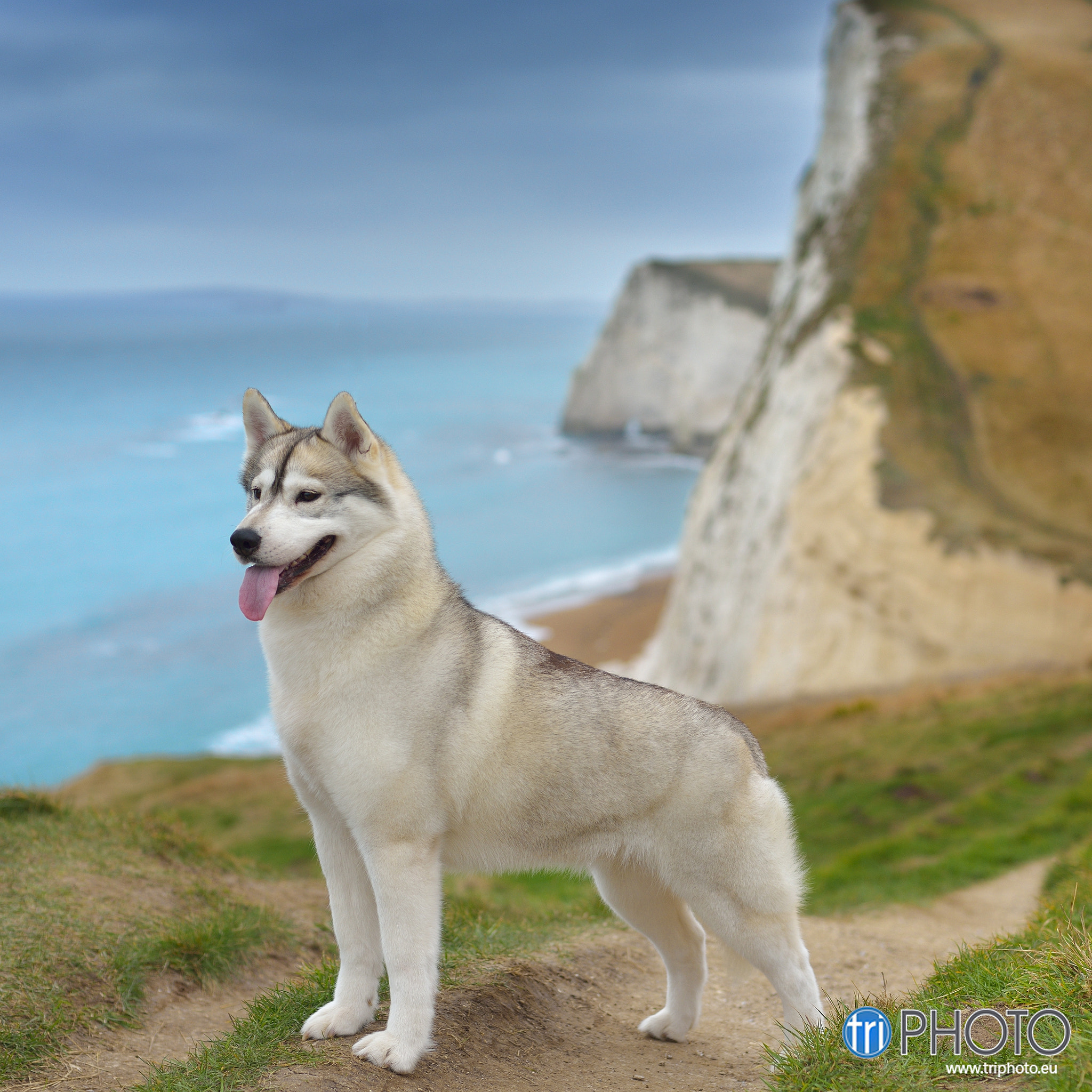 v2?sig=02975d2cbc2600f6cf646c57916bd57cdfe0a958cc300961f918d7f592a59ab8