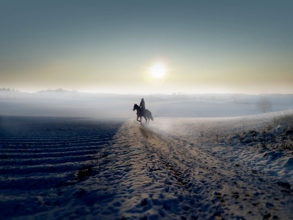 winter by Estrella Esteve on 500px.com