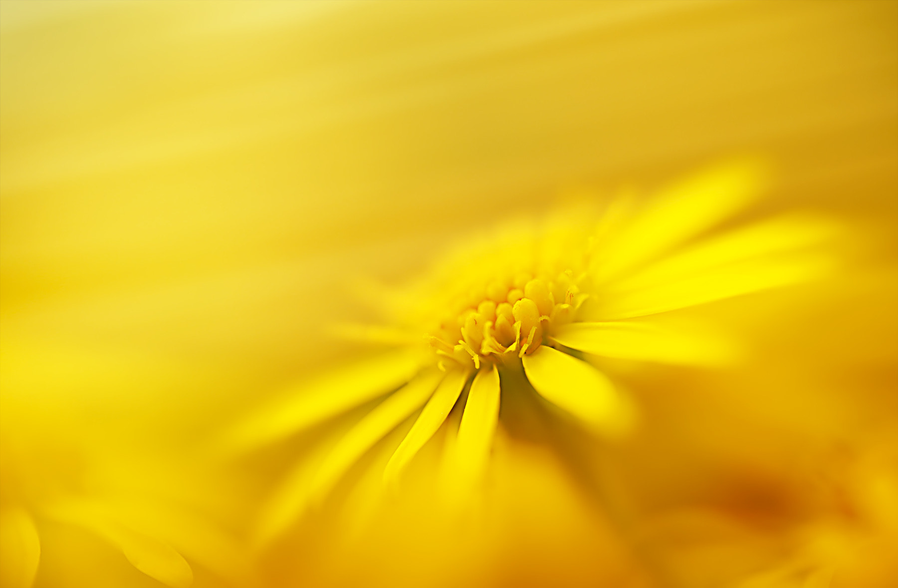 eintauchen in andere welten und das neue glück spüren ...