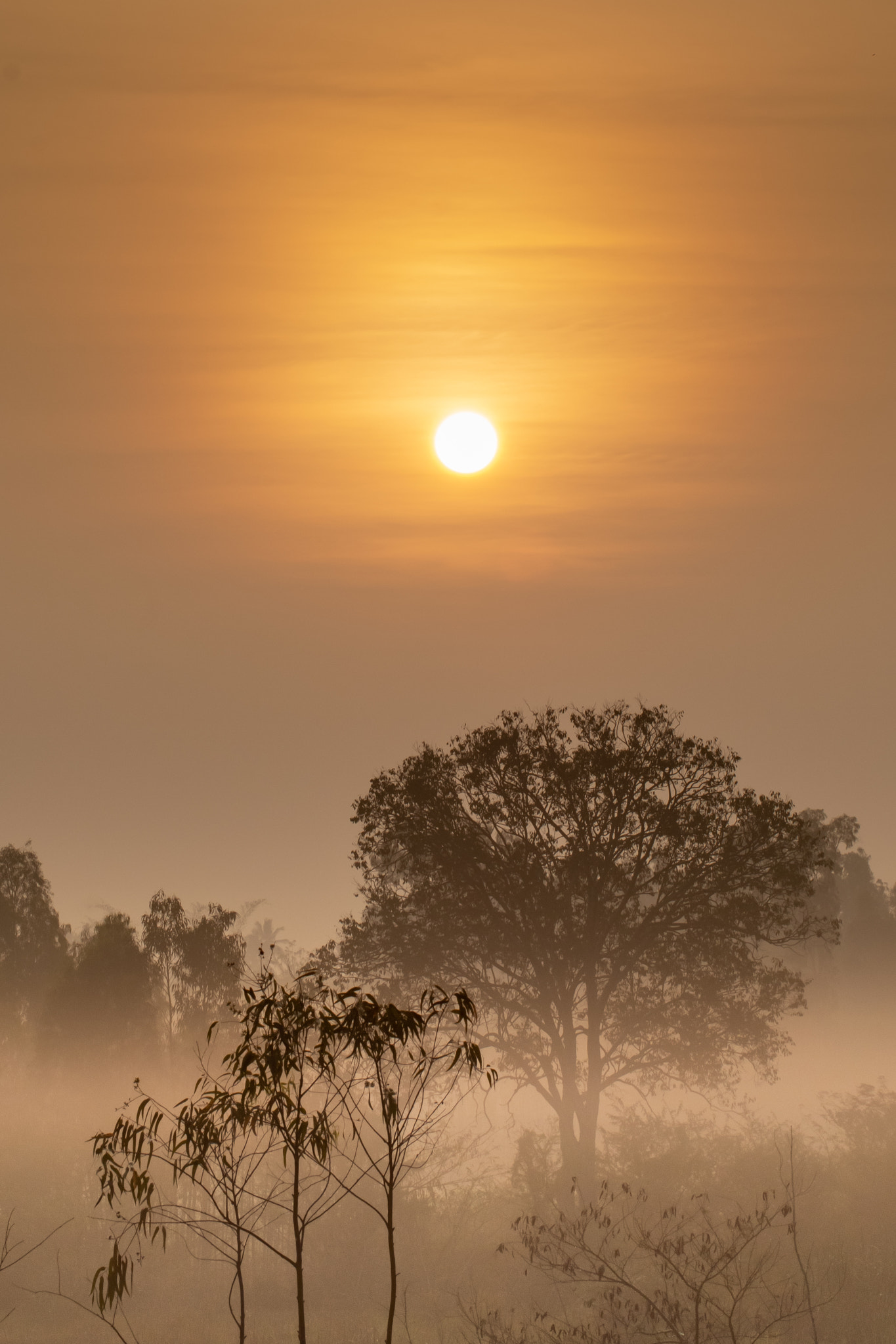 Hazy Morning