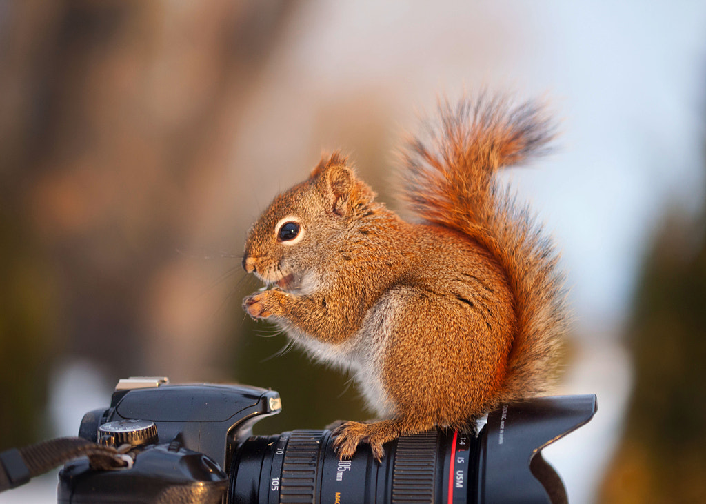 Between two shots by Andre Villeneuve on 500px.com