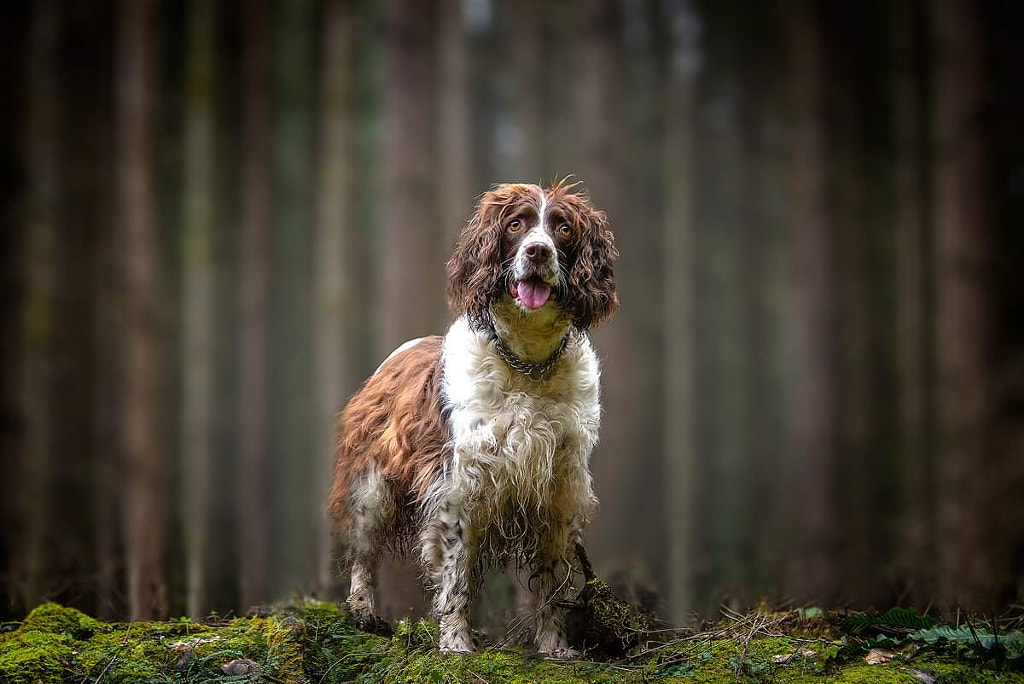 Brina  by Josko  Simic on 500px.com