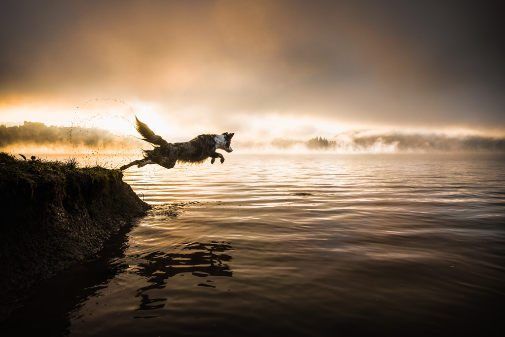 Bathing in the sunrise by Iza ?yso? on 500px.com