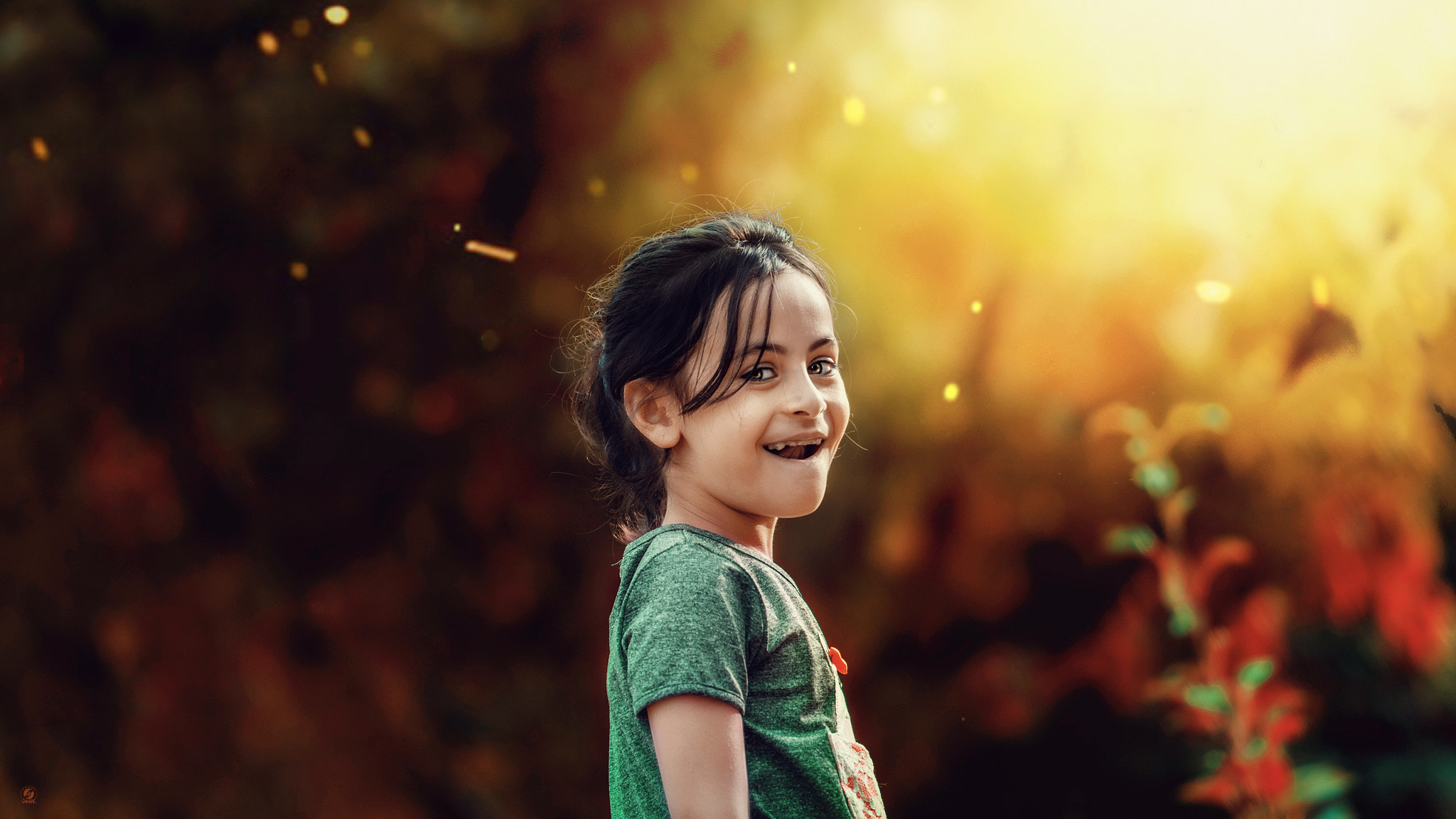 v2?sig=1b812083c2e9b73521c4bd3b6f3eb5b10