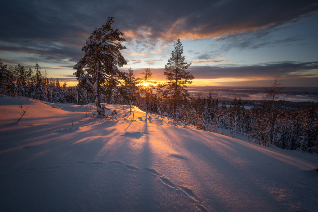 Top View by Ole Henrik Skjelstad on 500px.com