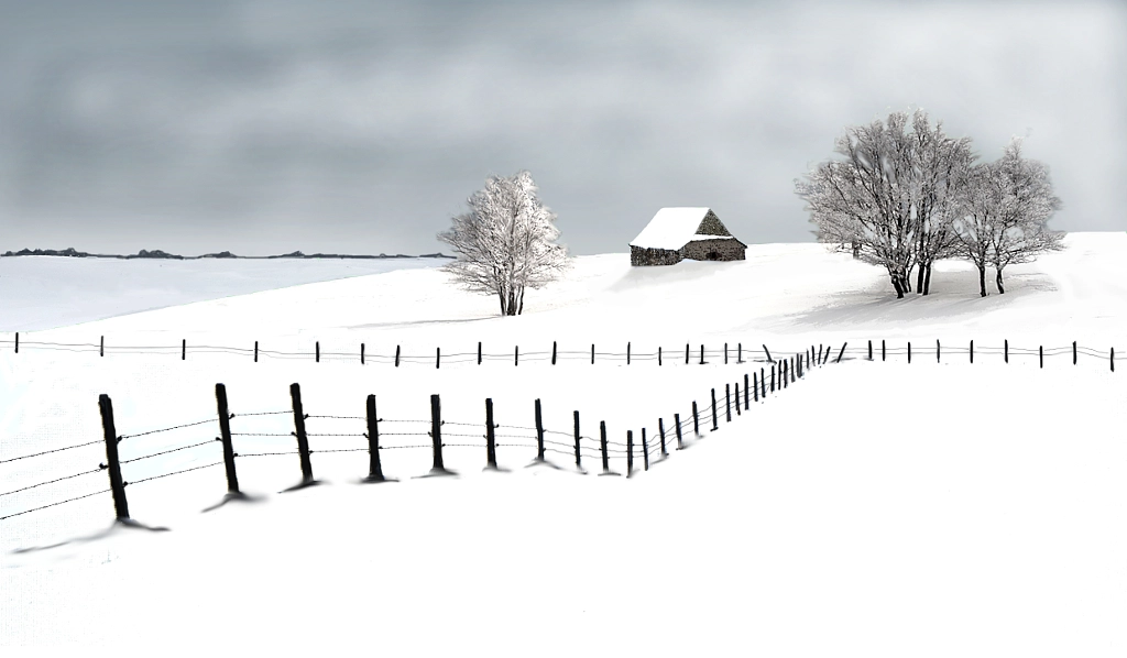 Aubrac  by roland lenert on 500px.com