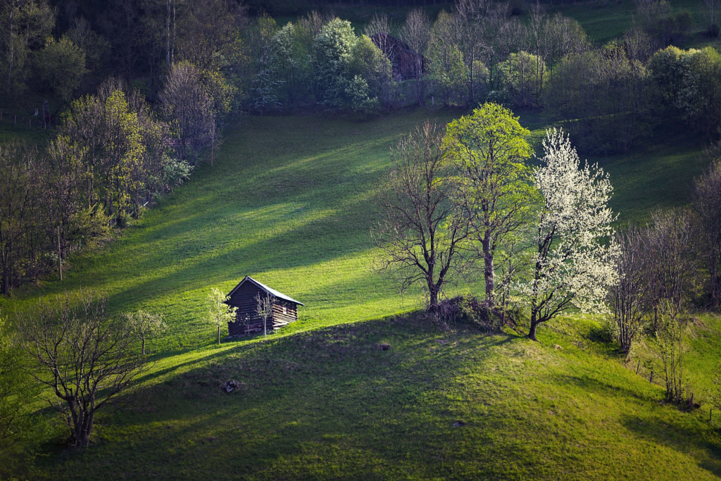 Spring Dream by Walde Jansky on 500px.com