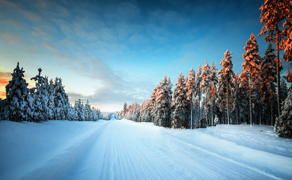 Never Ending Winter Road by Carsten Meyerdierks on 500px.com