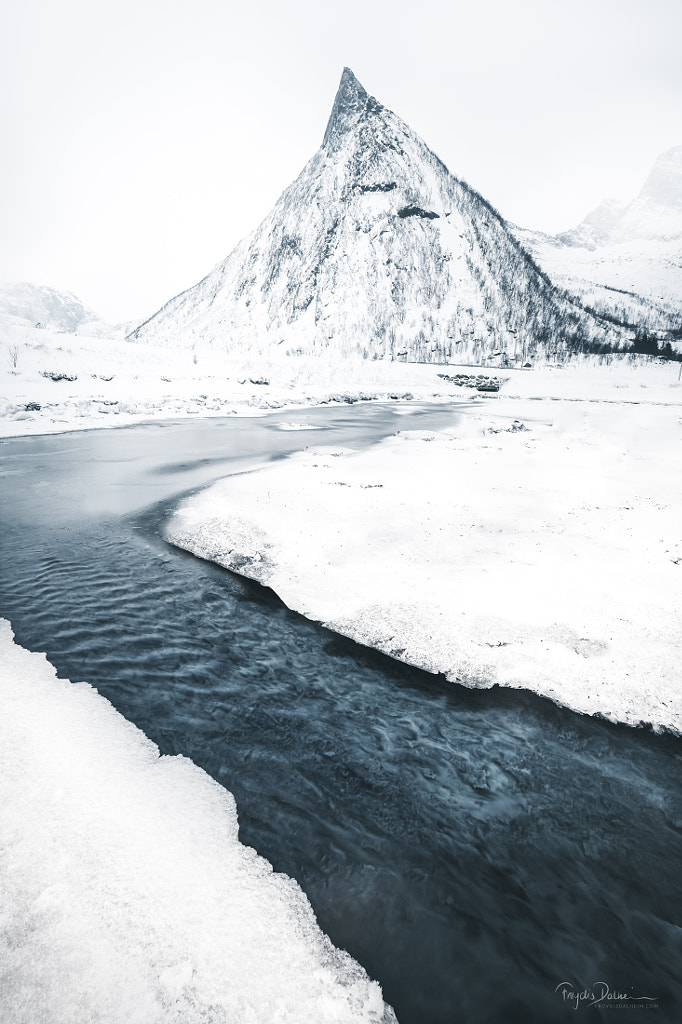 Cold Winter Colors by Frøydis Dalheim on 500px.com