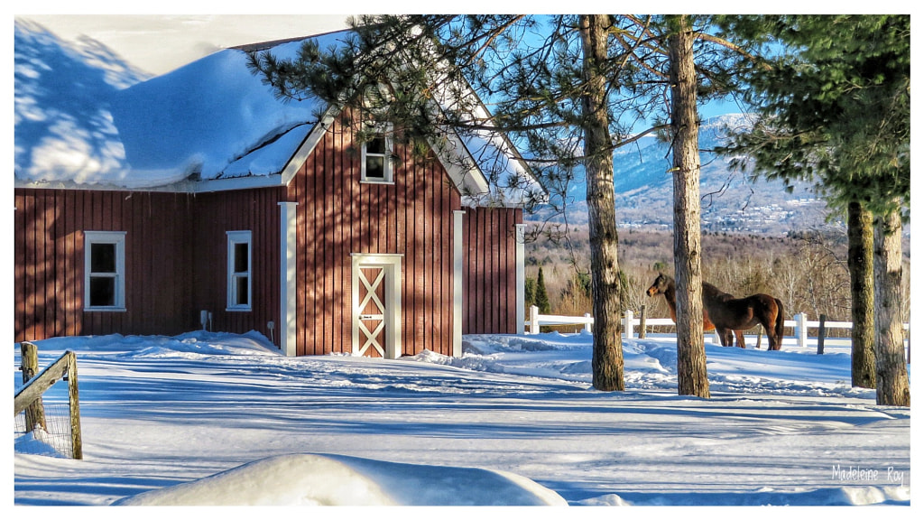 Magnifique journée d’hiver à Sutton! by Madeleine Roy on 500px.com