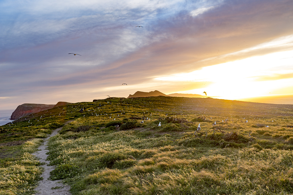 Sunset in Anacapa Island