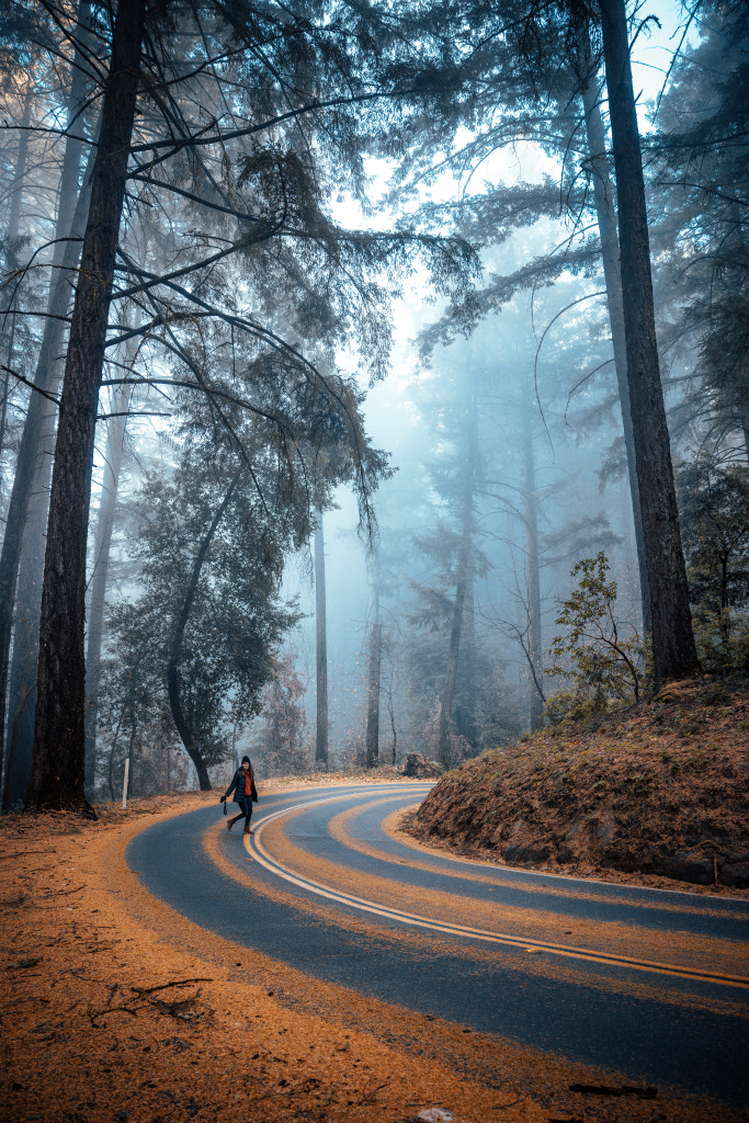 Orange Road by Halid Kalkan on 500px.com