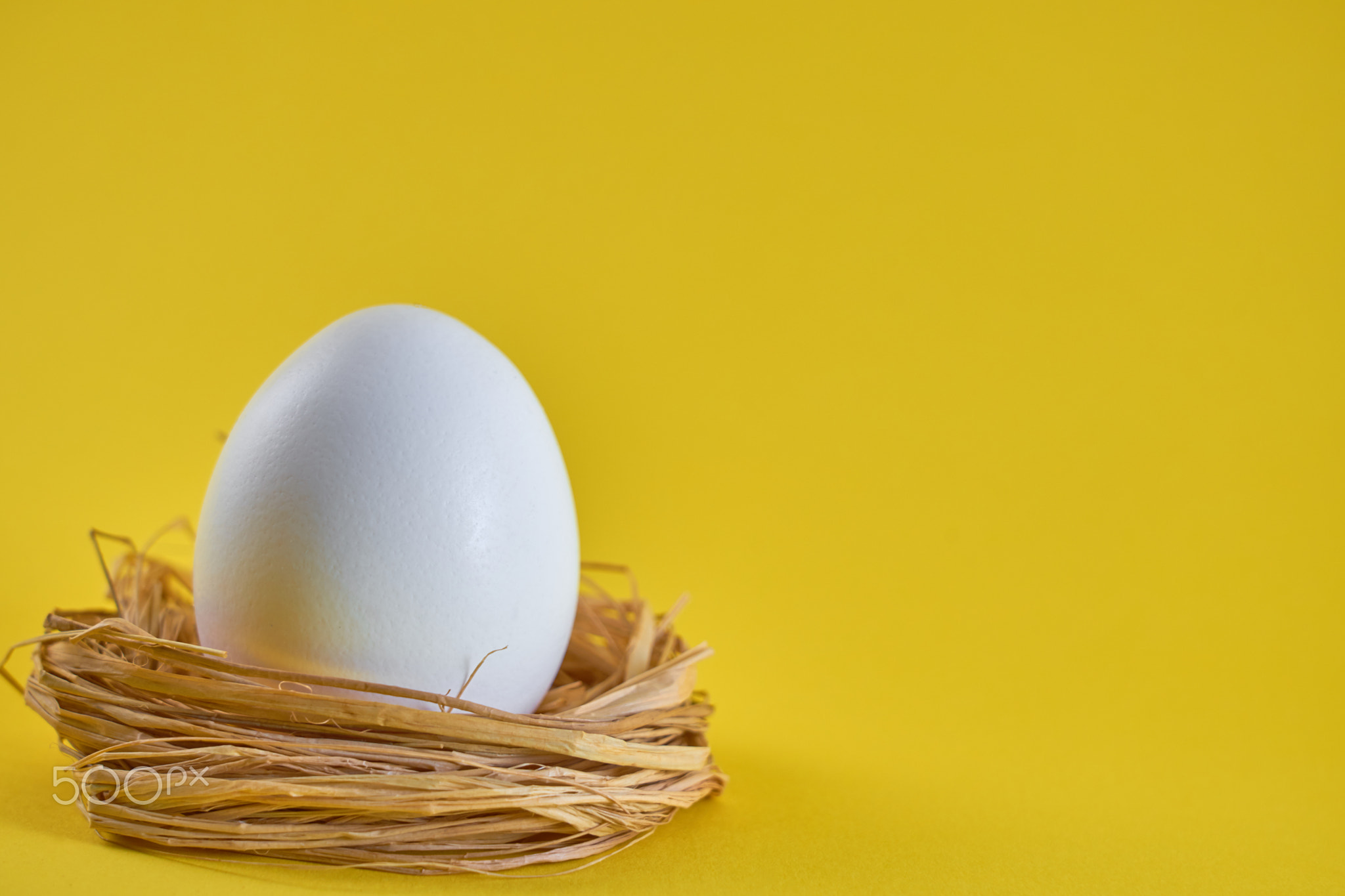 A white egg in a nest on a yellow background.