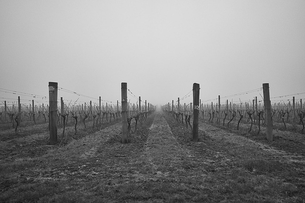 IMAGE: https://drscdn.500px.org/photo/1029204403/m%3D900/v2?sig=daa8538ec1231fb56f7ca845452f7f565ca671545b00cb8793e30b4210619d1b