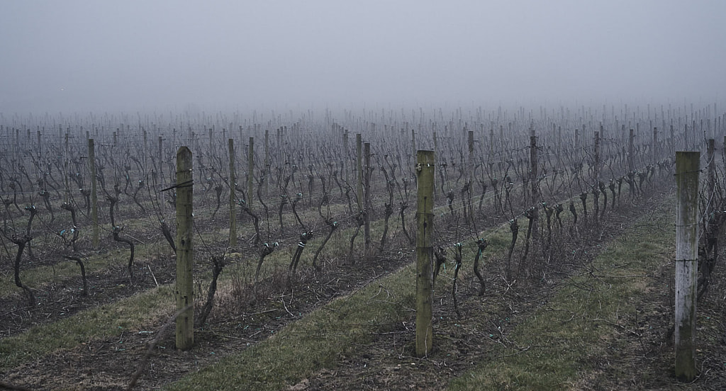 IMAGE: https://drscdn.500px.org/photo/1029204405/m%3D900/v2?sig=8f6dbe3c88e01027076b56f3bd3575bd2168810e249648aae297447f714fd7d2