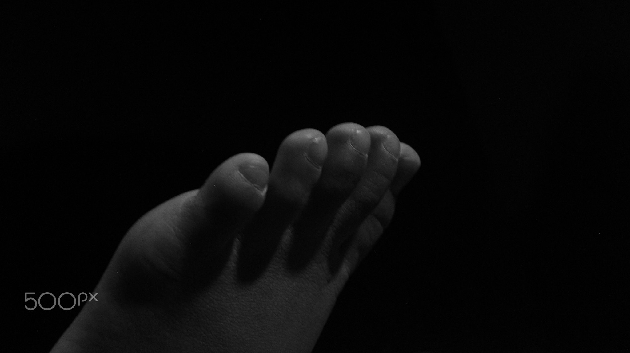 BNW Photographer