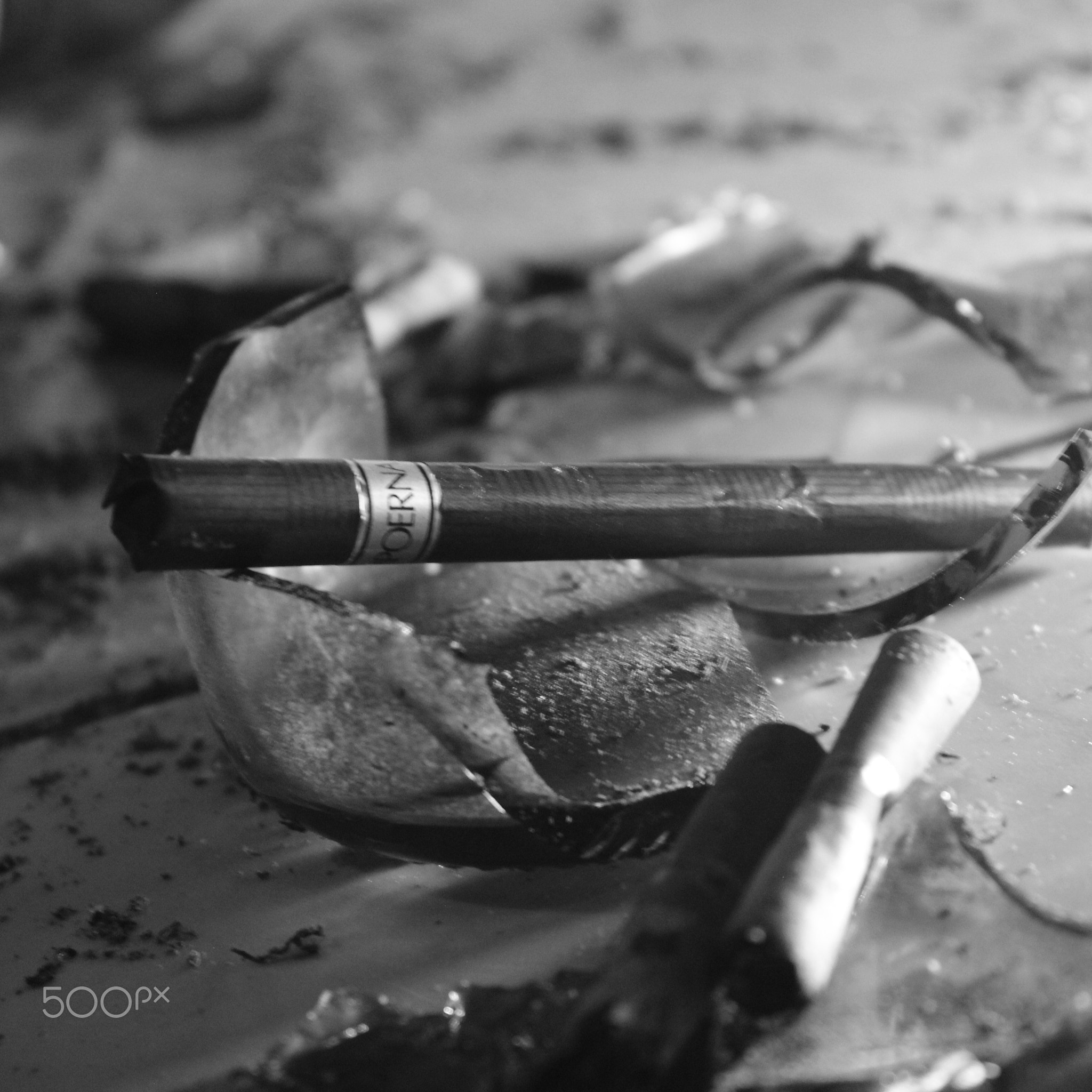 BNW Photographer