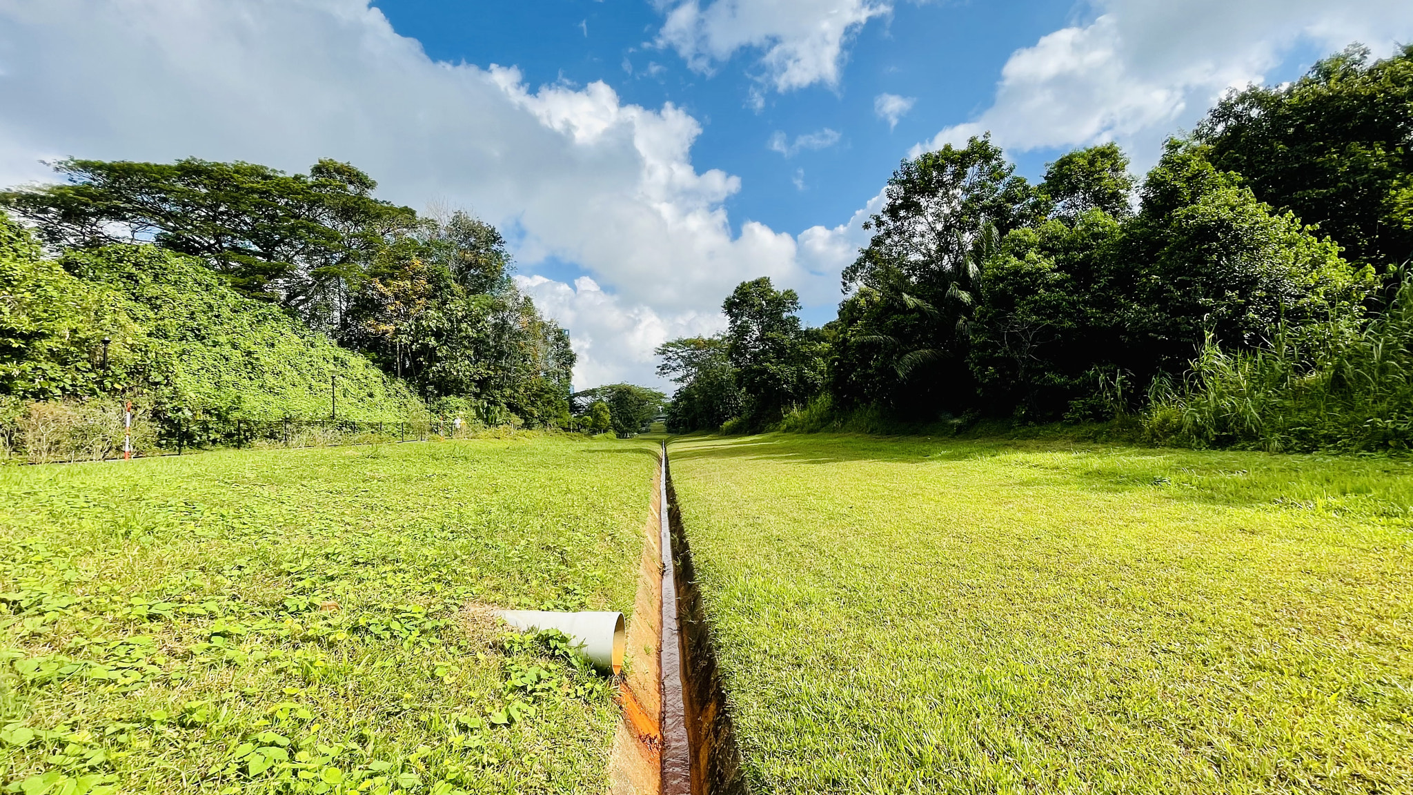 Hiking, Singapore