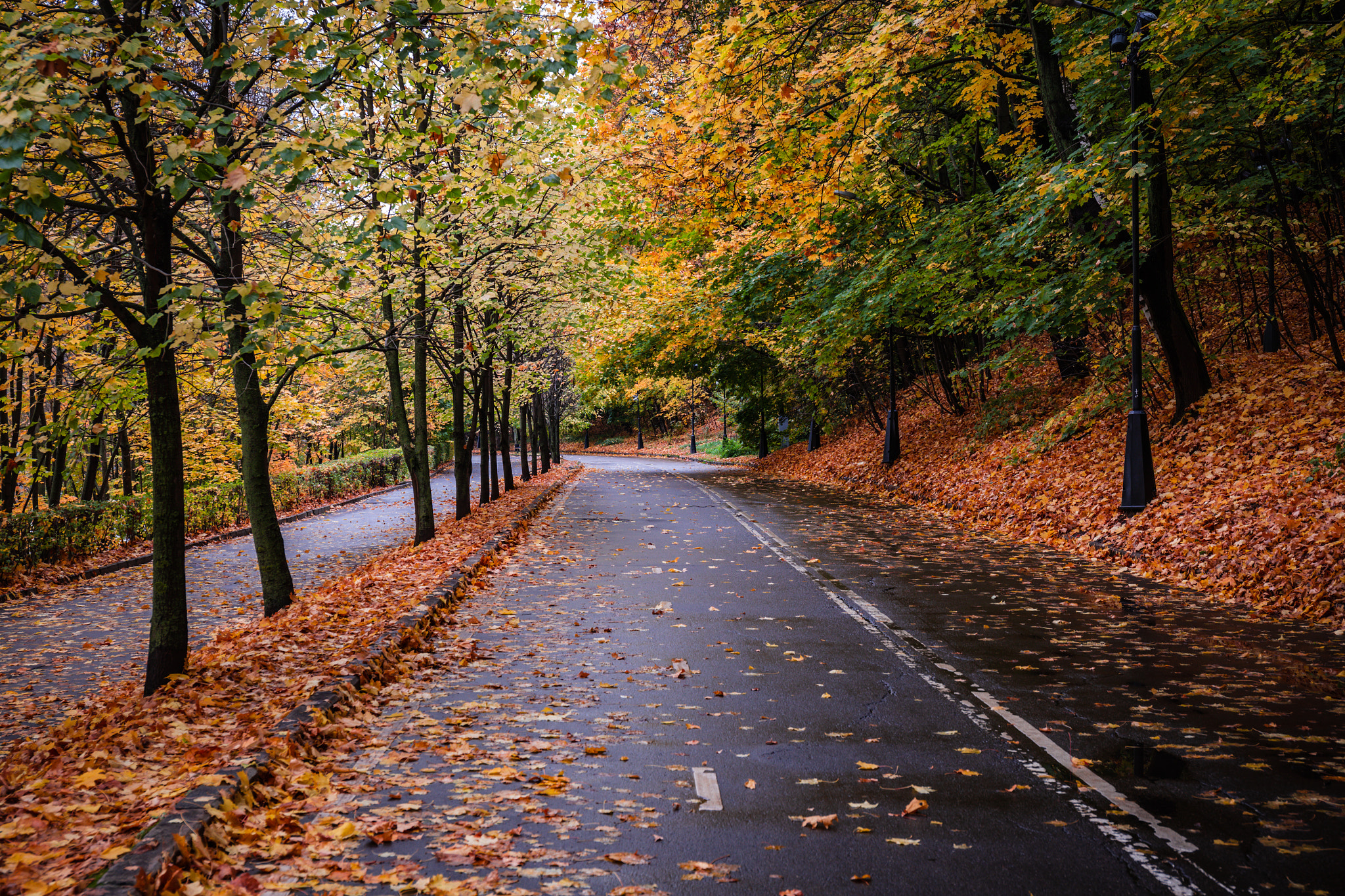 Autumn Park Road