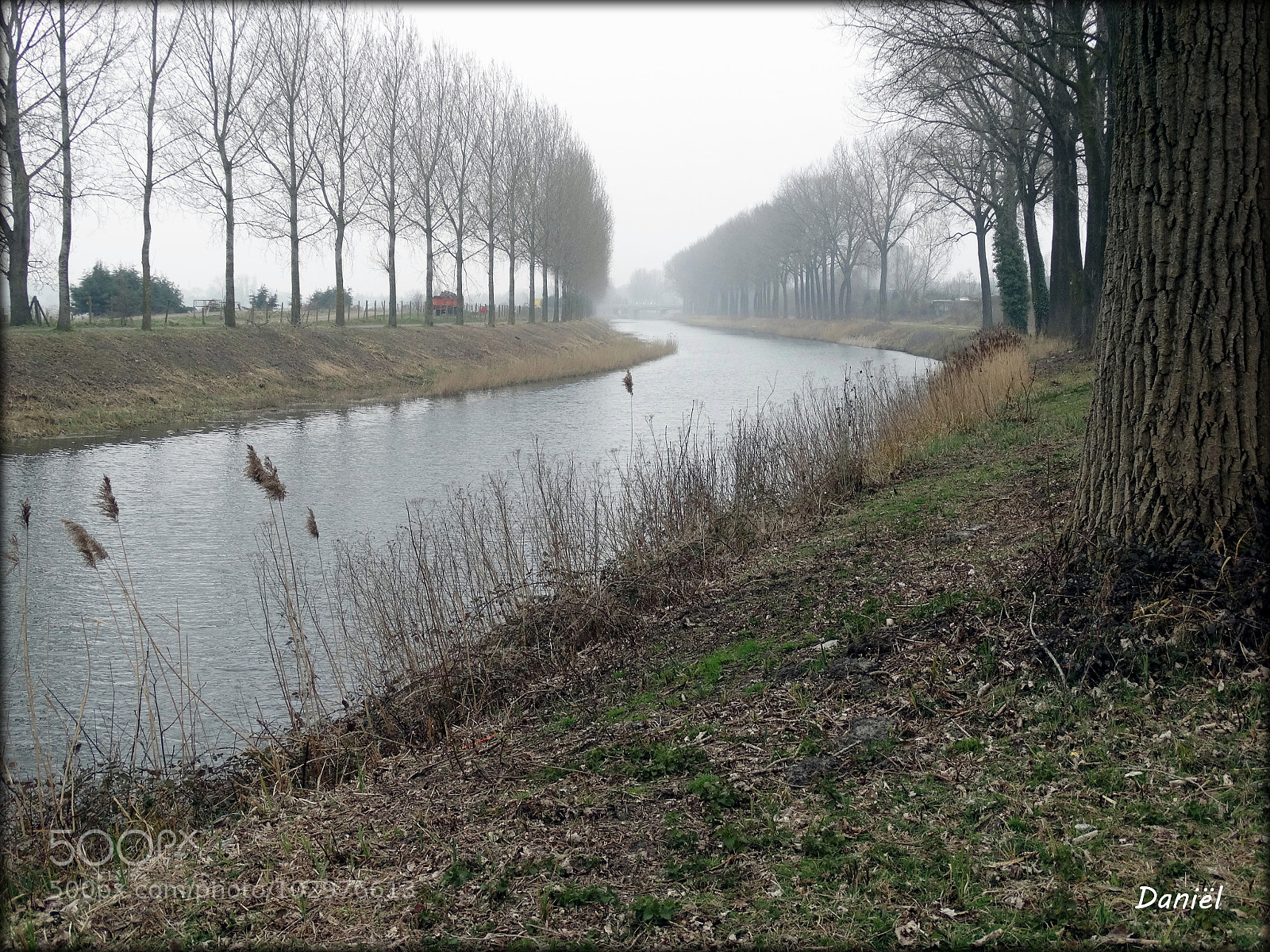 Sony Cyber-shot DSC-HX300 sample photo. In flanders fields ... .. . photography