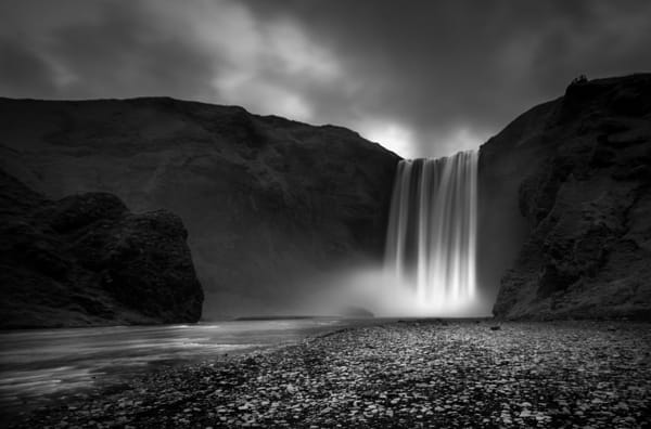 Fix you by Alessandra Gandolfi