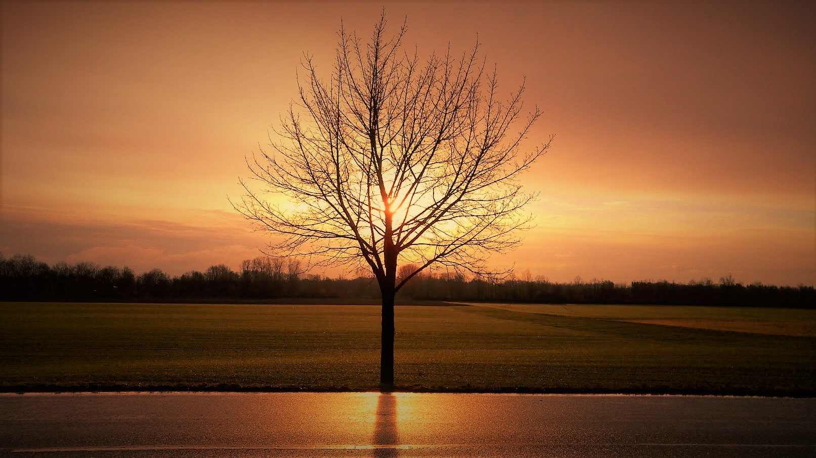 ''Guide us to the straight path'' Surah Al-Fatiha: 6 by Mohamed Antar ...