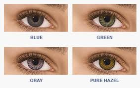 Buy Acuvue Contact Lenses