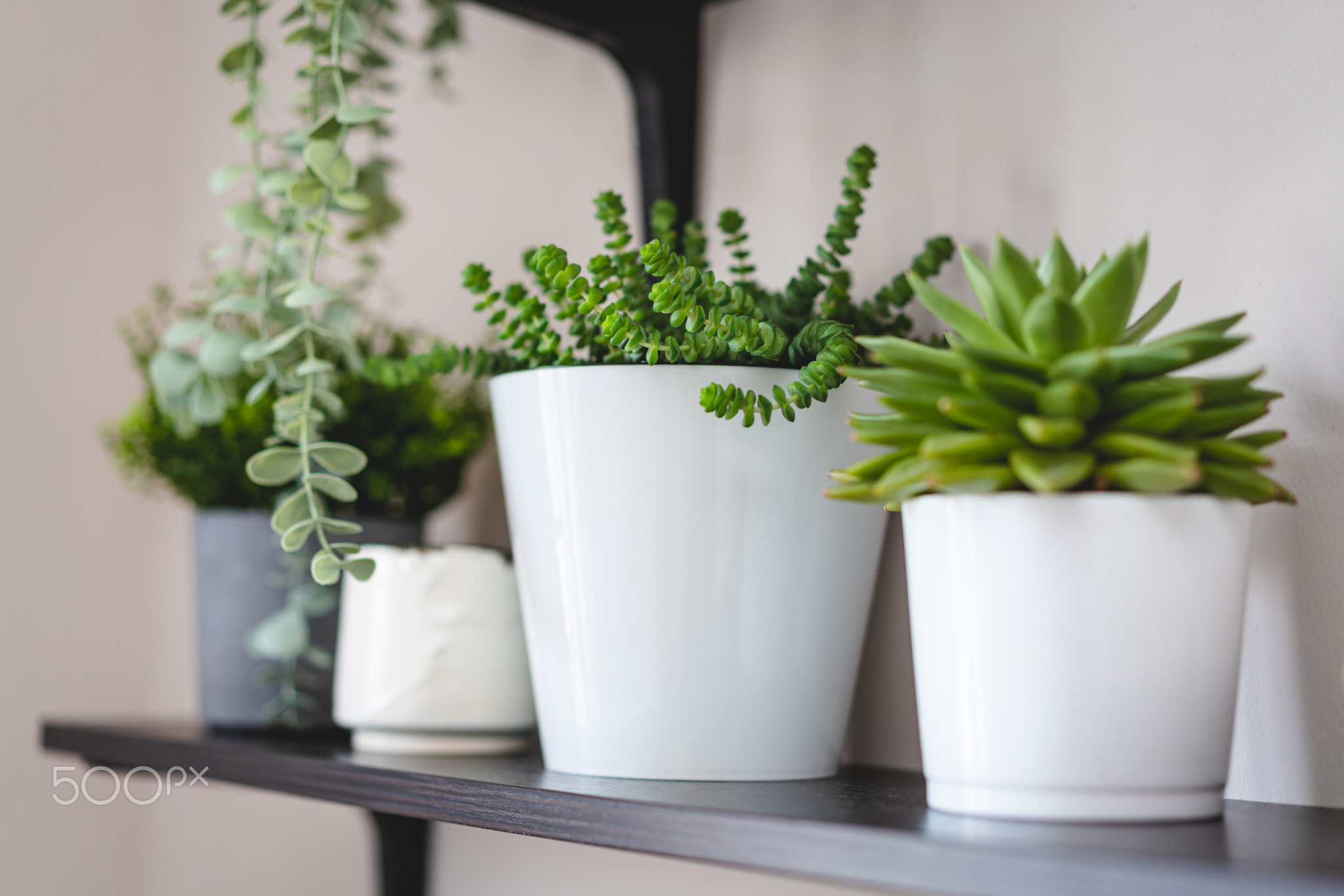 Stylish open space shelves